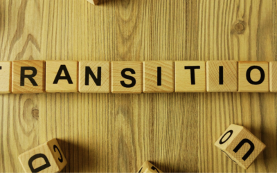 Le FNE-formation 2024 | Outil de transition des entreprises